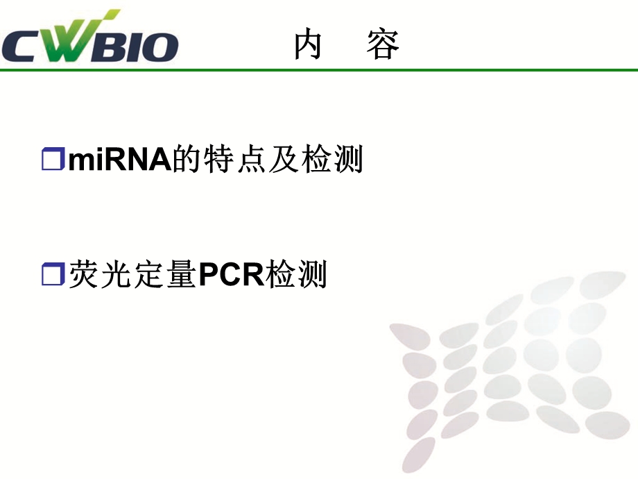 《荧光定量PCR》PPT课件.ppt_第2页