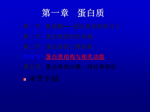 《蛋白质的共价结构》PPT课件.ppt