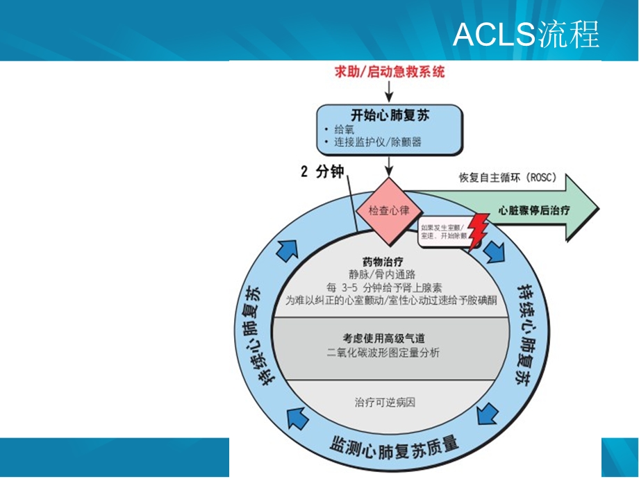 《高级生命支持》PPT课件.ppt_第3页