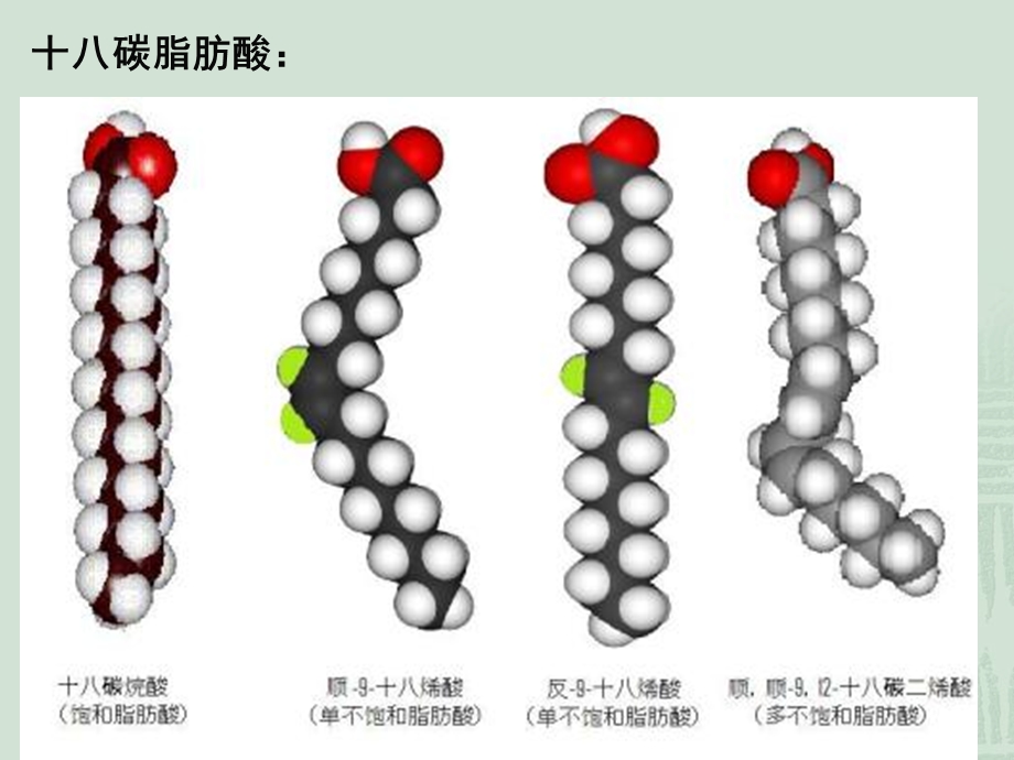 《营养与健康》PPT课件.ppt_第3页