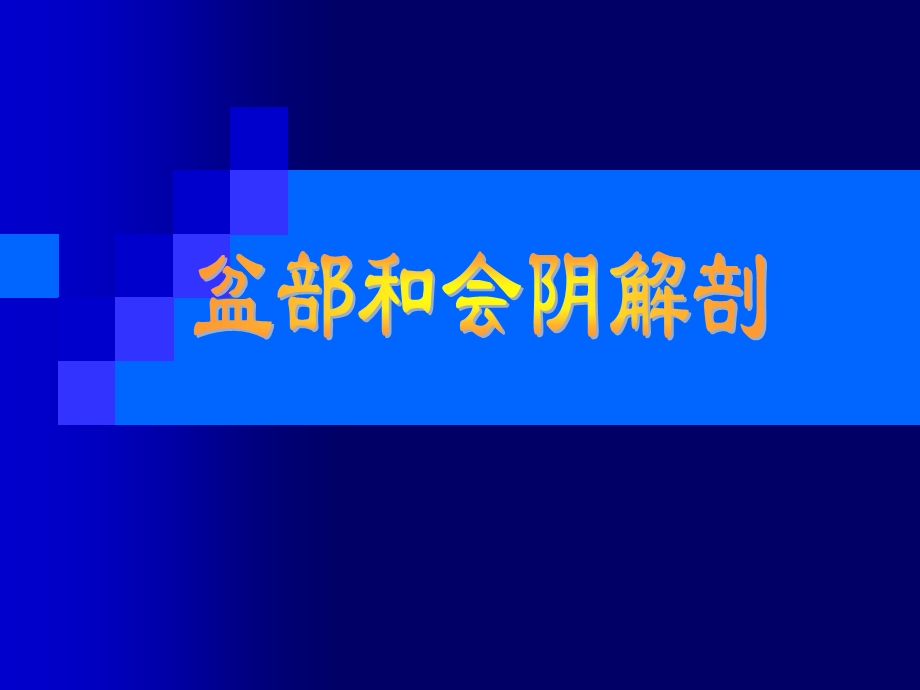 《盆部和会阴的解剖》PPT课件.ppt_第1页