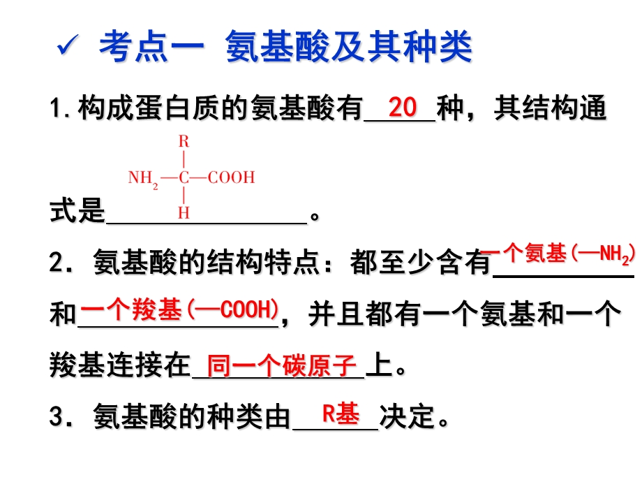 《蛋白质轮复习》PPT课件.ppt_第2页