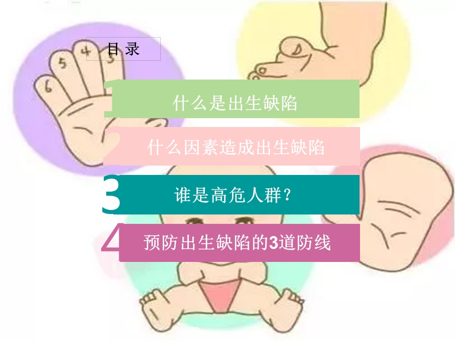 《预防出生缺陷》PPT课件.ppt_第2页