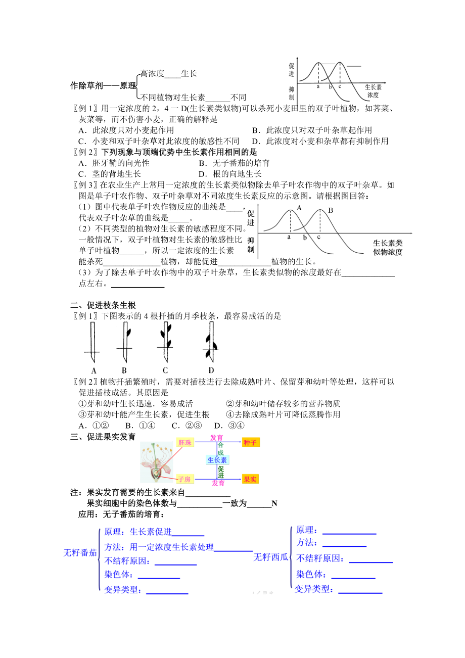 3.2生长素的生理作用学案姜云祥.doc_第3页