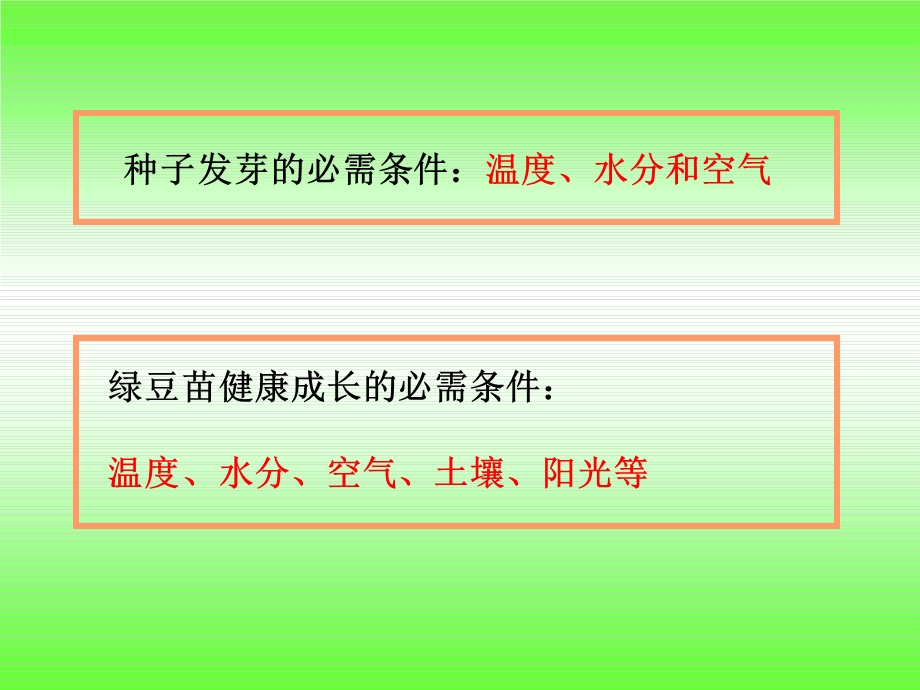 《观察绿豆的生长》PPT课件.ppt_第3页