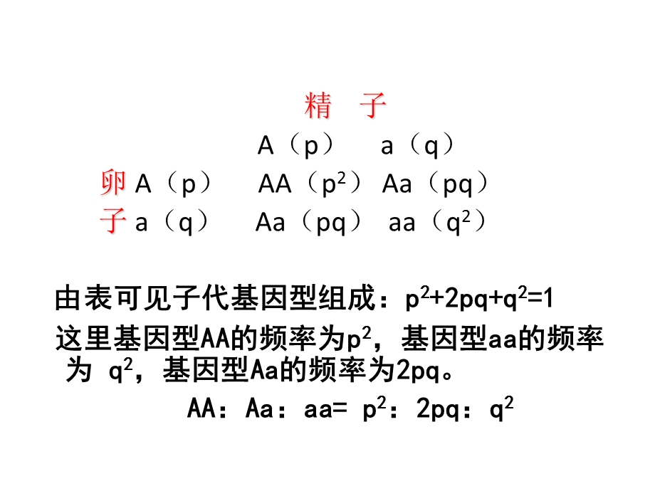 《遗传平衡定律》PPT课件.ppt_第3页