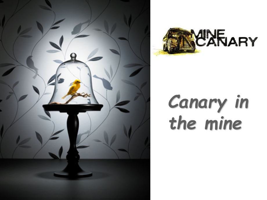 canaryinthemine.ppt_第1页