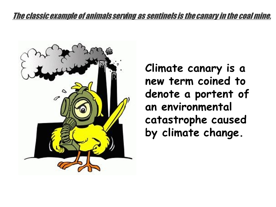 canaryinthemine.ppt_第2页