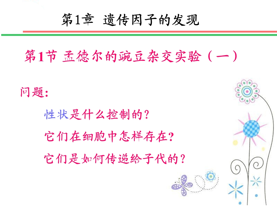 遗传学的奠基人孟德尔.ppt_第2页