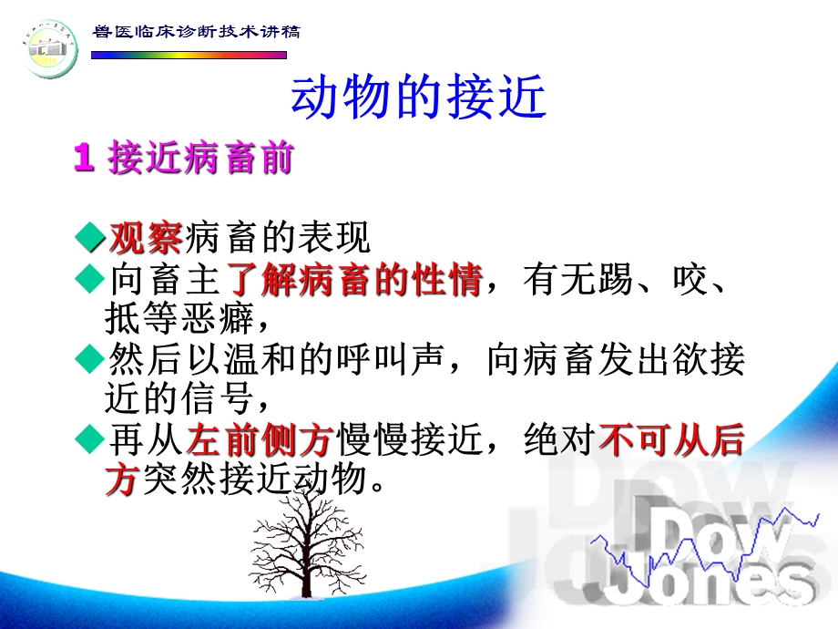 动物的接近与保定.ppt_第2页