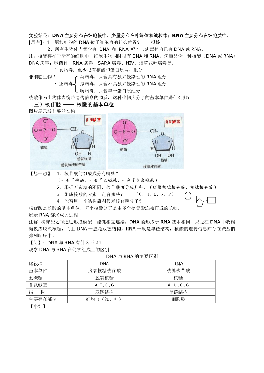 2.3遗传信息的携带者—核酸教案.doc_第2页