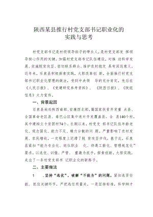 陕西某县推行村党支部书记职业化的实践与思考.docx