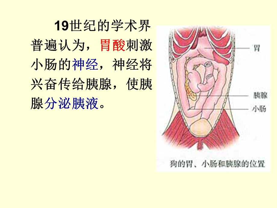 《通过激素的调》PPT课件.ppt_第3页