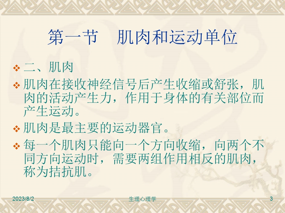 《运动的控制》PPT课件.ppt_第3页