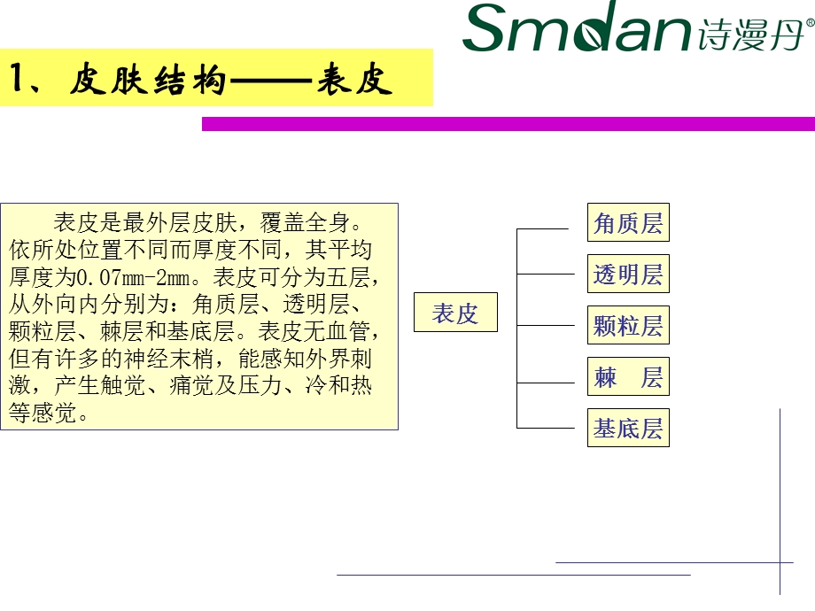 《诗漫丹皮肤》PPT课件.ppt_第3页