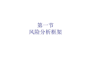 一节风险分析框架.ppt