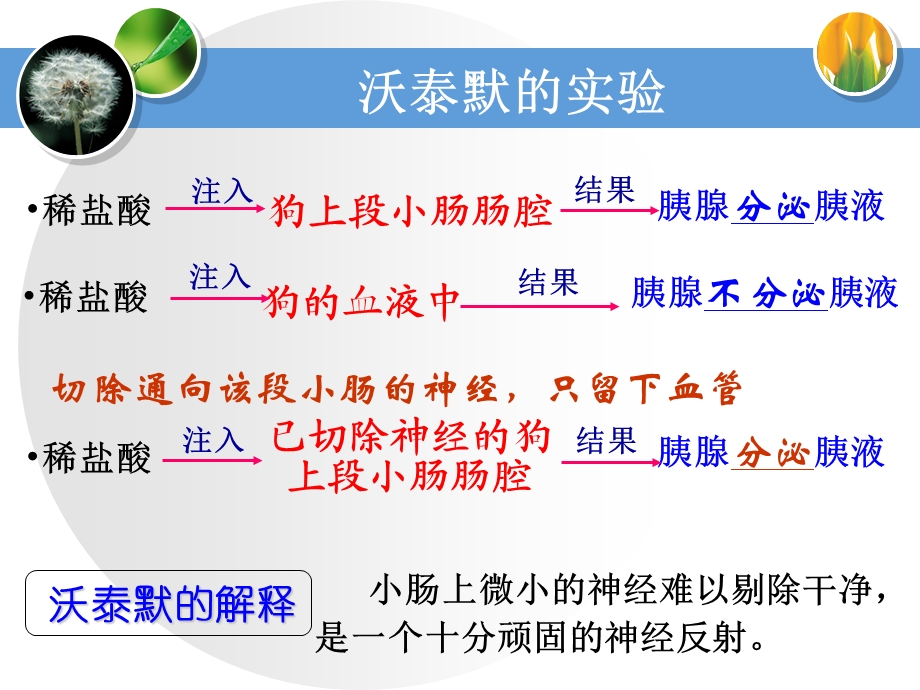 通过激素的调有用.ppt_第3页