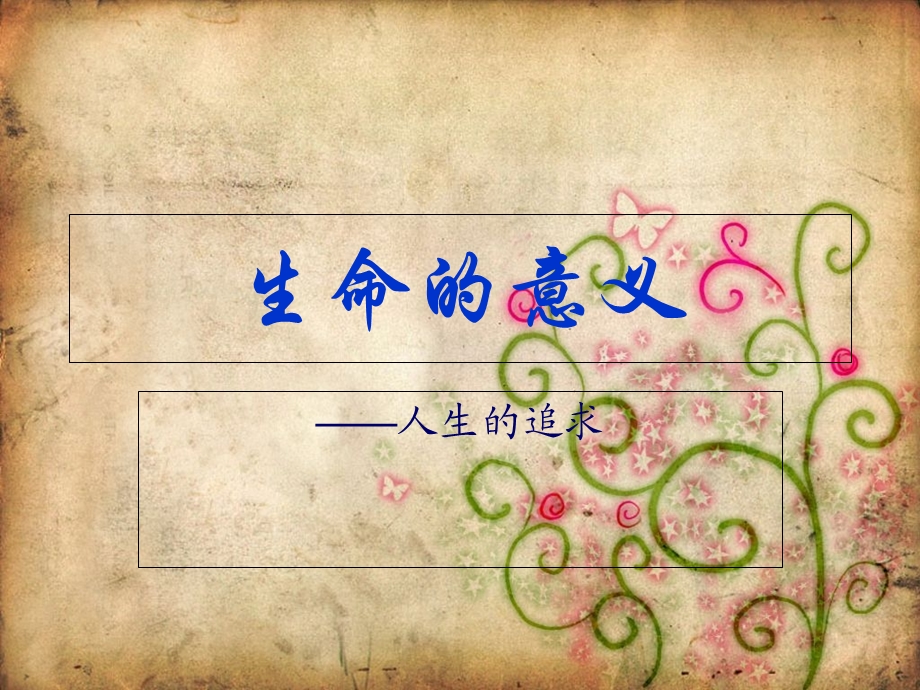 《生命的意义》PPT课件.ppt_第1页