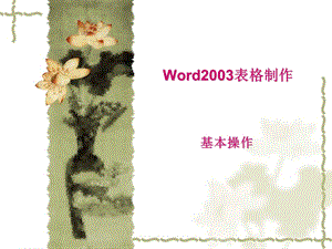 Word2003表格制作.ppt