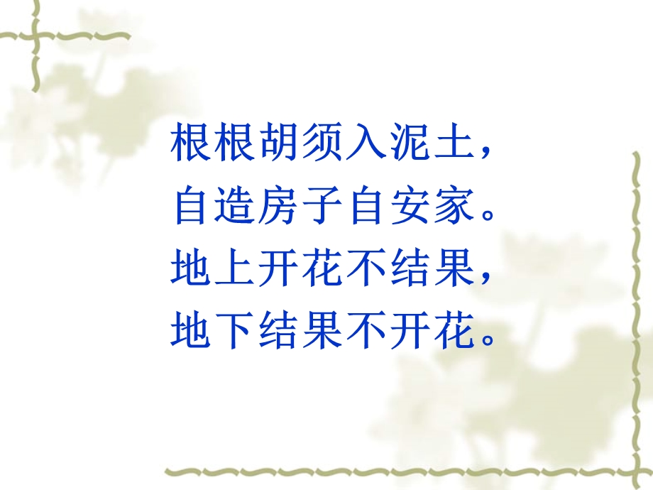 《沪江网落花生》PPT课件.ppt_第1页