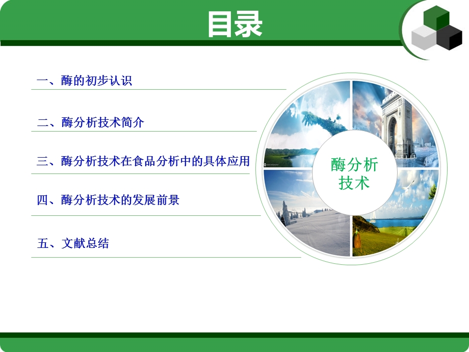 《酶分析技术》PPT课件.ppt_第2页