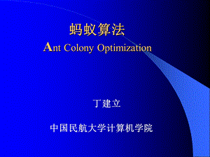 《蚂蚁算法》PPT课件.ppt