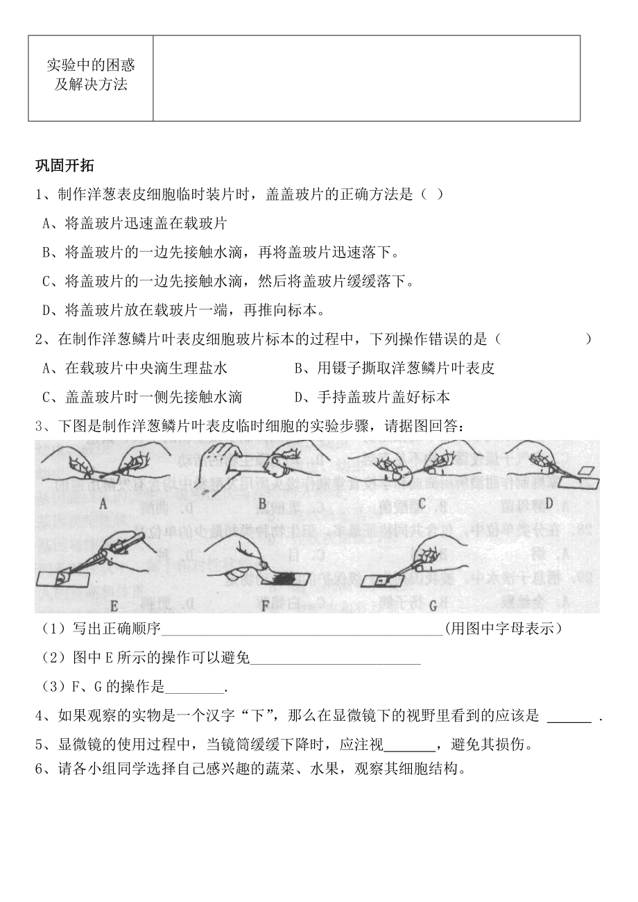 制作并观察洋葱表皮细胞临时装片学案汪美玲.doc_第2页