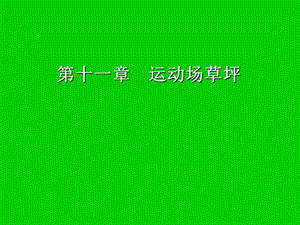 《运动草坪》PPT课件.ppt