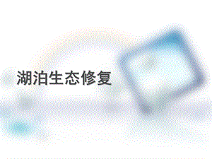 《湖泊生态修复》PPT课件.ppt