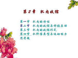 《骨骼肌机能》PPT课件.ppt