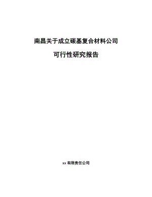 南昌关于成立碳基复合材料公司可行性研究报告.docx