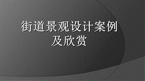 《街道设计案例》PPT课件.ppt