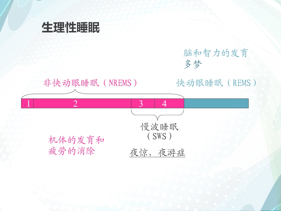 药理学 第十五章镇静催眠药.ppt_第3页