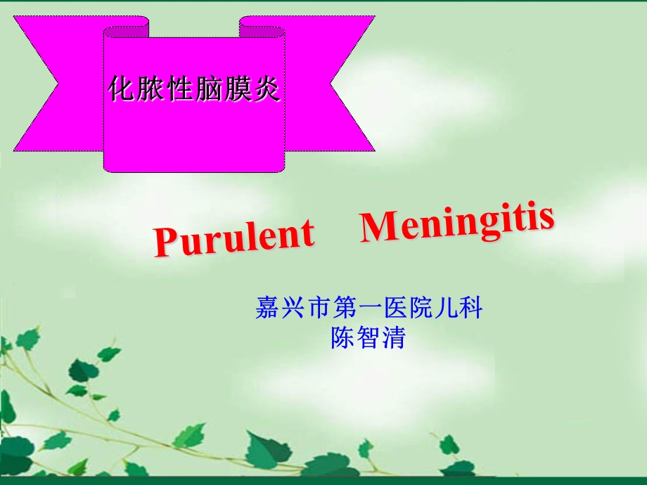 儿童化脓性脑膜炎.ppt_第1页