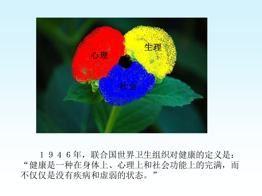 《青少年心理健康》PPT课件.ppt_第2页