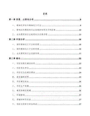 南宁水处理药剂项目可行性研究报告.docx