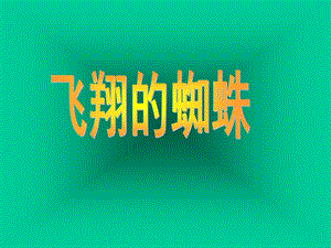 《飞翔的蜘蛛》PPT课件.ppt