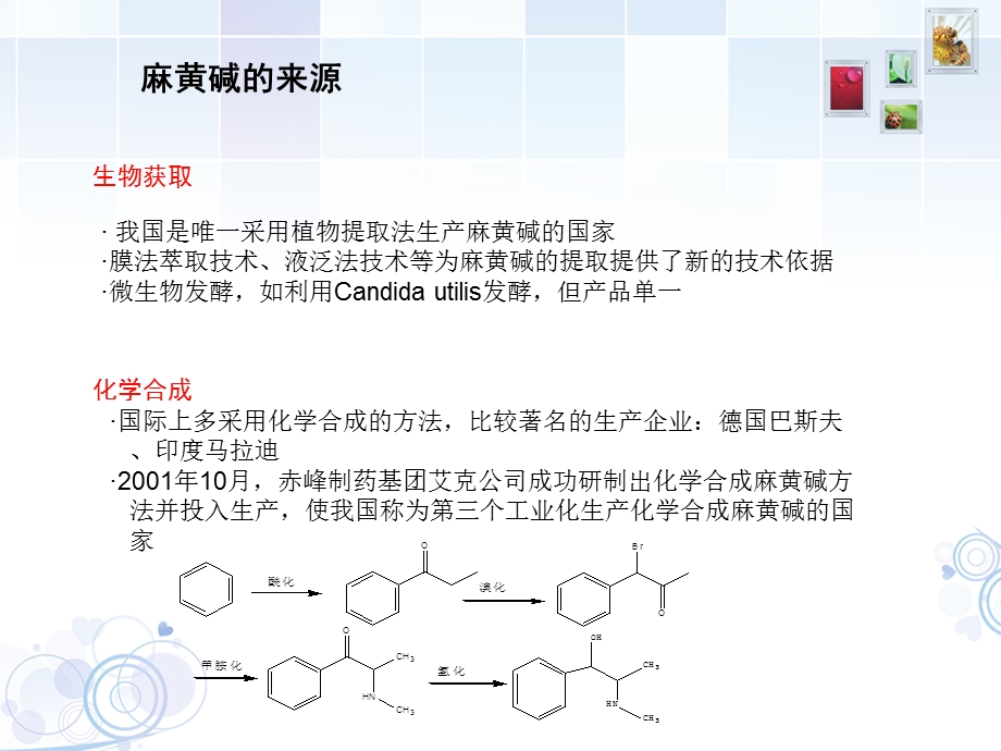 《麻黄碱的简单介绍》PPT课件.ppt_第3页