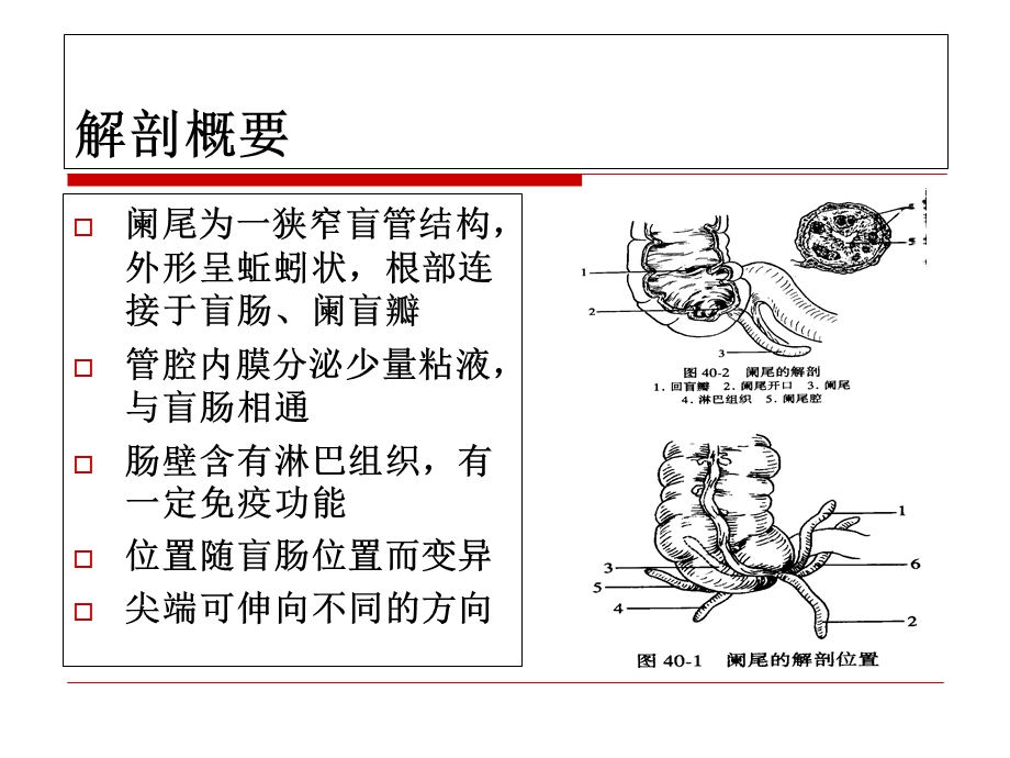 《阑尾护理查房》PPT课件.ppt_第2页