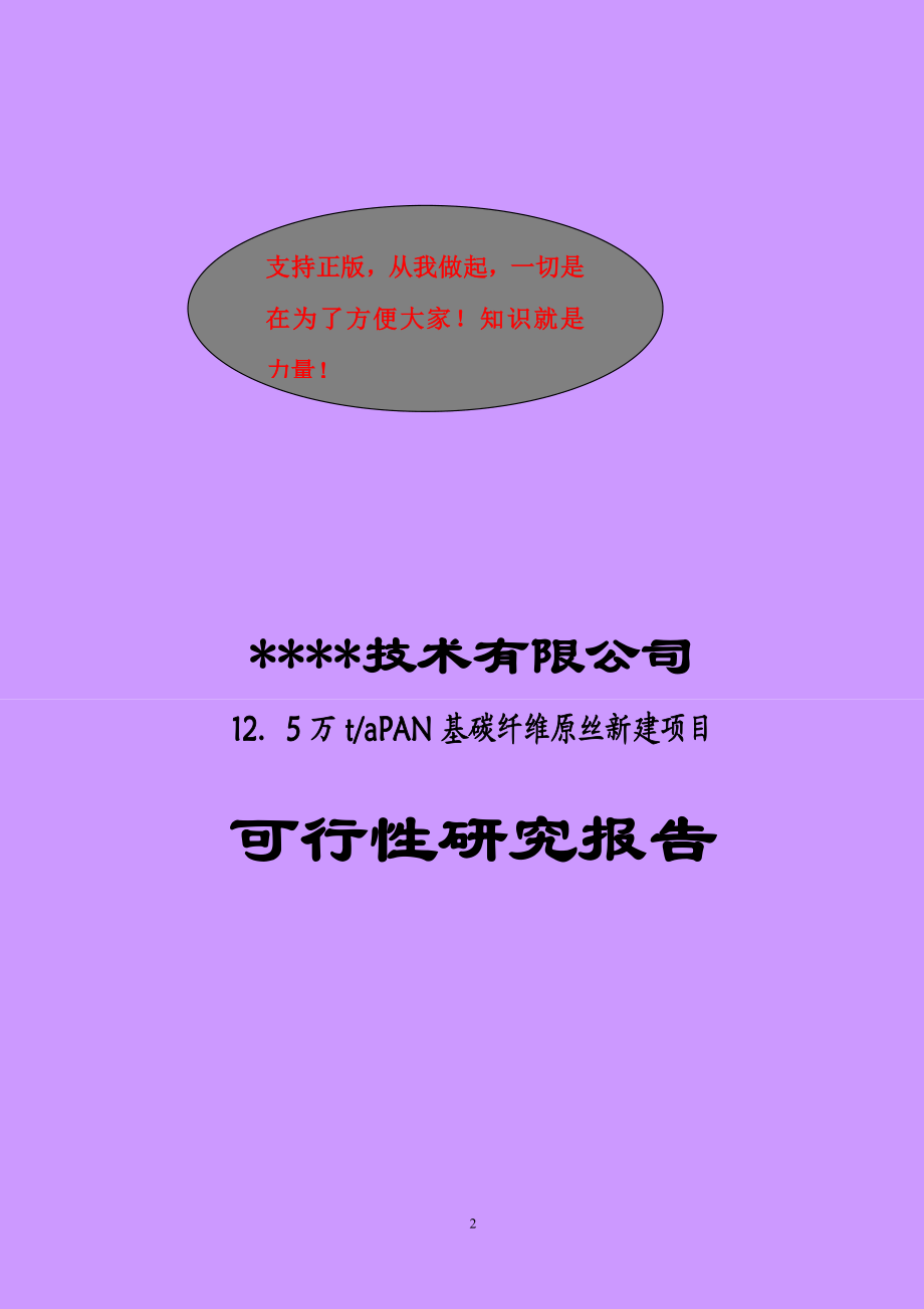 xp新建年产125万吨PAN基碳纤维原丝建设项目可行性研究报告43196.doc_第2页