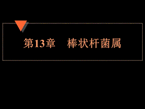 《棒状杆菌分枝杆菌》PPT课件.ppt