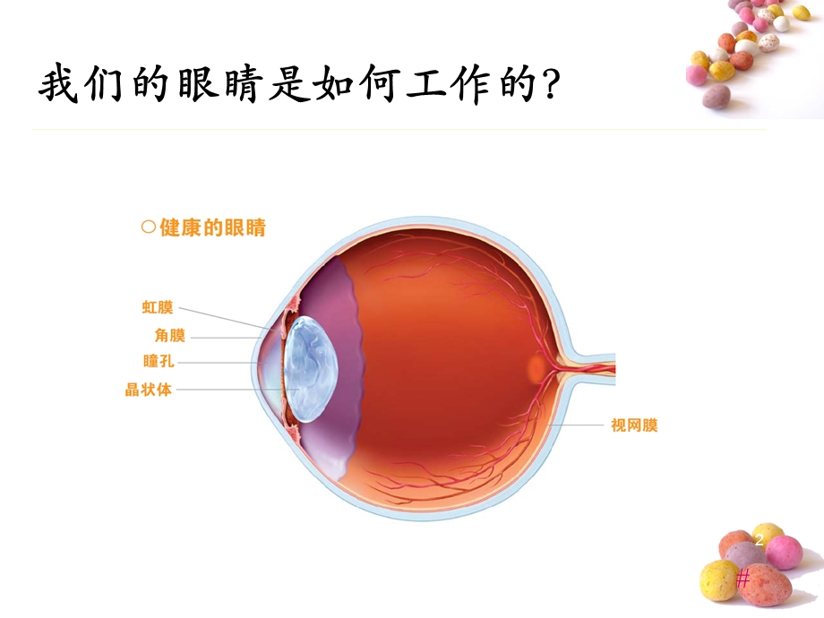 《白内障知识培训》PPT课件.ppt_第2页