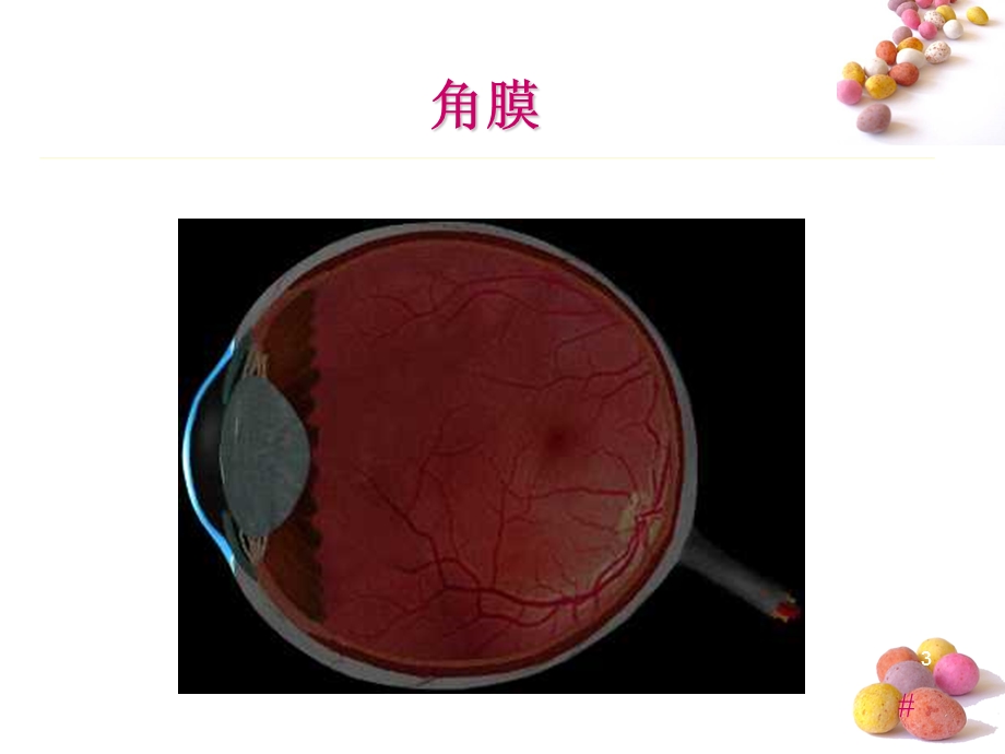 《白内障知识培训》PPT课件.ppt_第3页