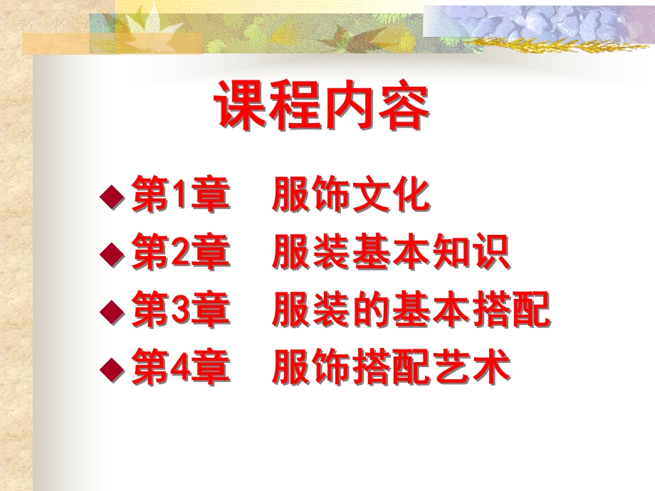 《服饰文化》PPT课件.ppt_第2页