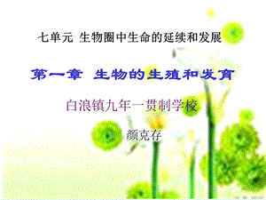 第一节 植物的生殖.ppt