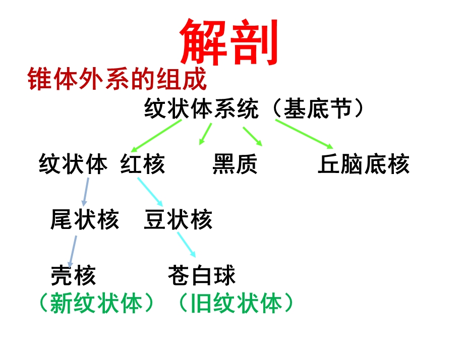 《不自主运动上》PPT课件.ppt_第3页