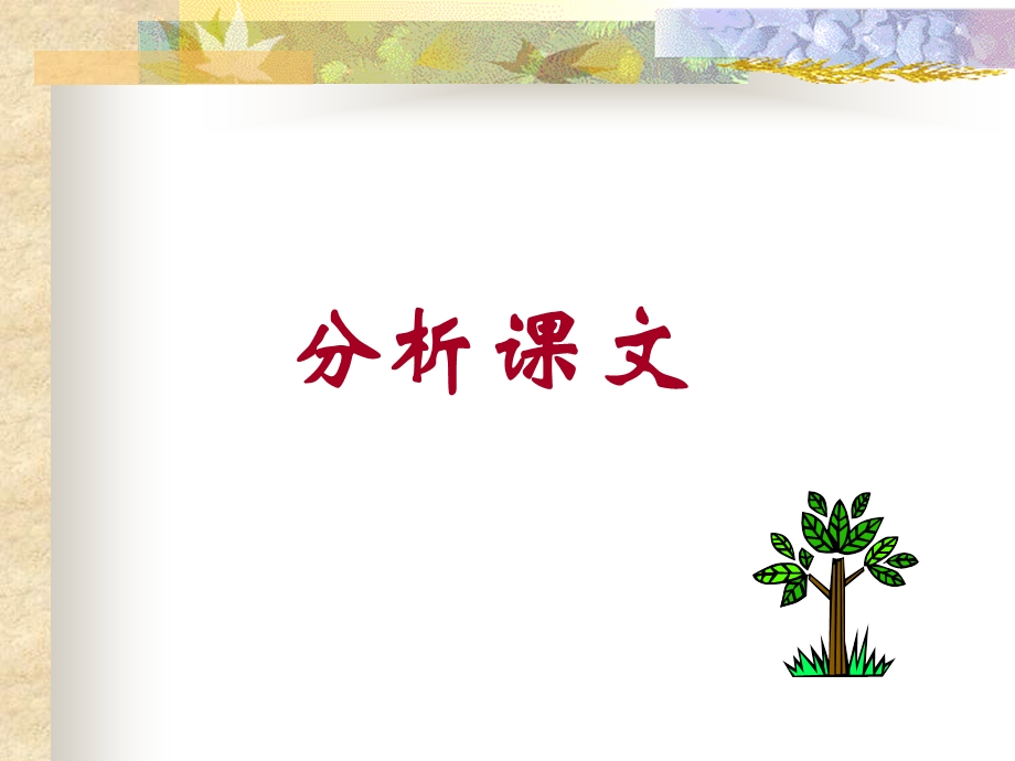 《语言的演变》PPT课件.ppt_第3页