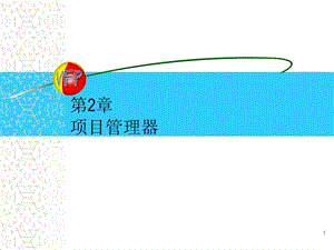 《项目管理器》PPT课件.ppt