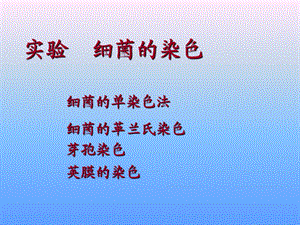 《细菌的染色》PPT课件.ppt