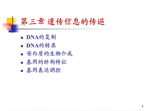 《遗传信息传递》PPT课件.ppt